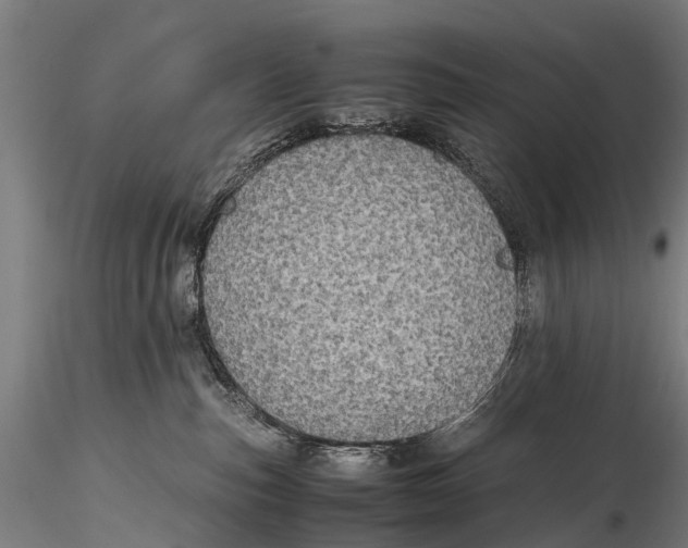 X0000115620187200912011623