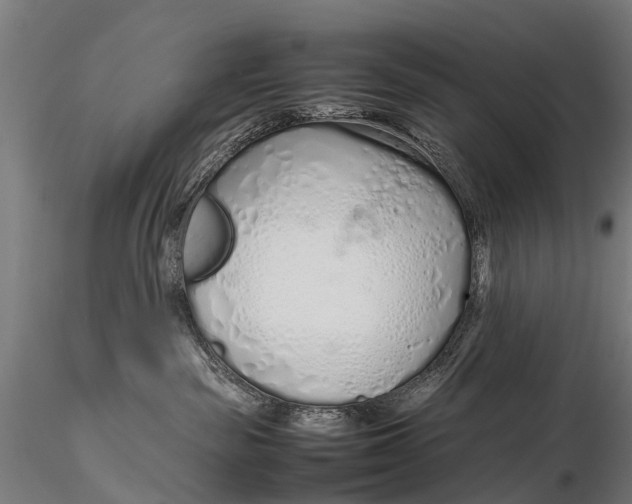 X0000115620189200912011623