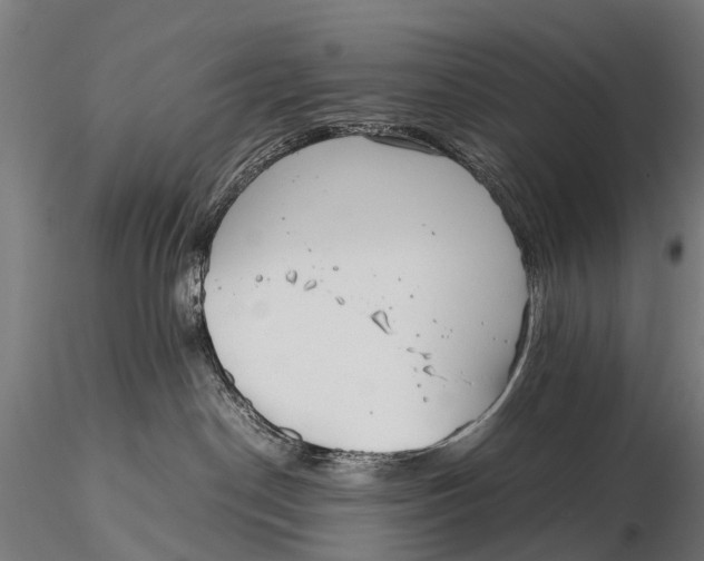 X0000115620190200912011623