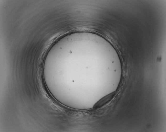 X0000115620193200912011622