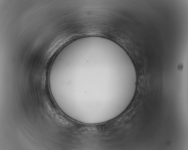 X0000115620194200912011622