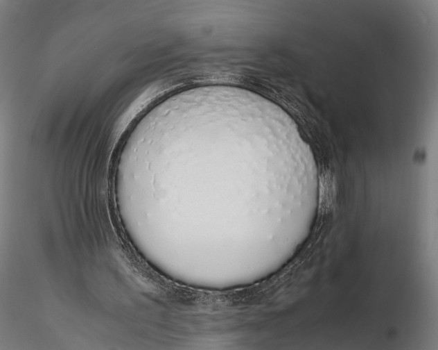 X0000115620195200912011622