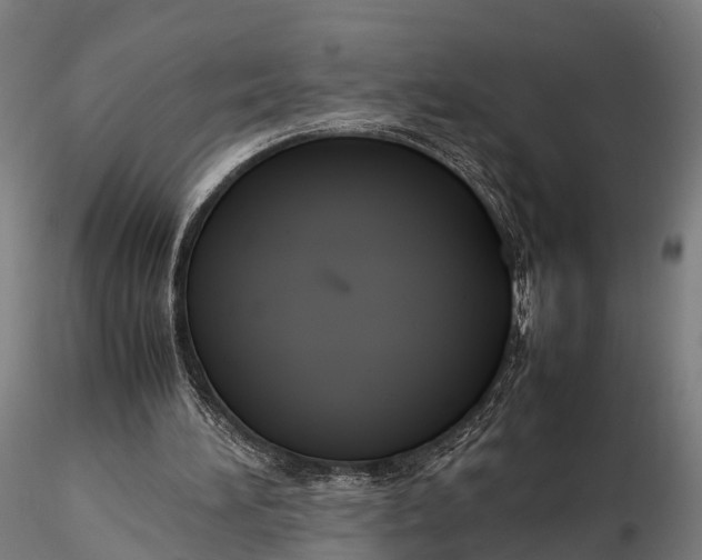 X0000115620196200912011622