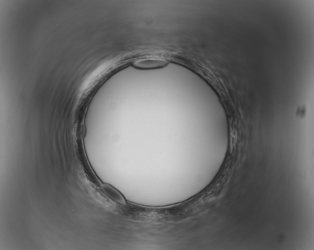 X0000115620197200912011622