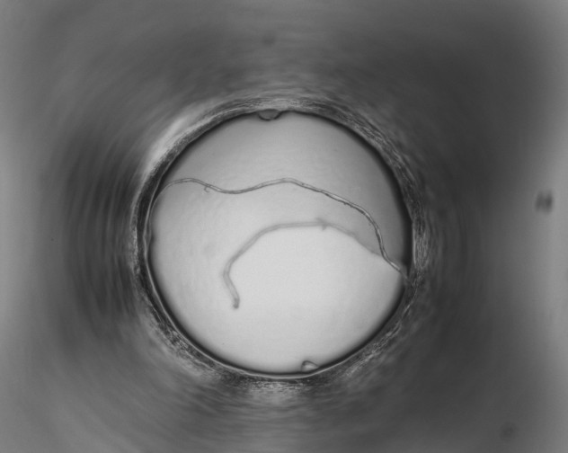 X0000115620198200912011622