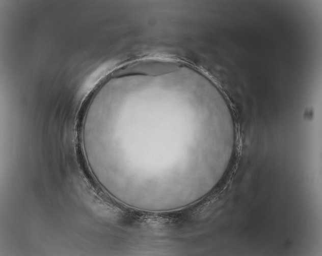 X0000115620199200912011622