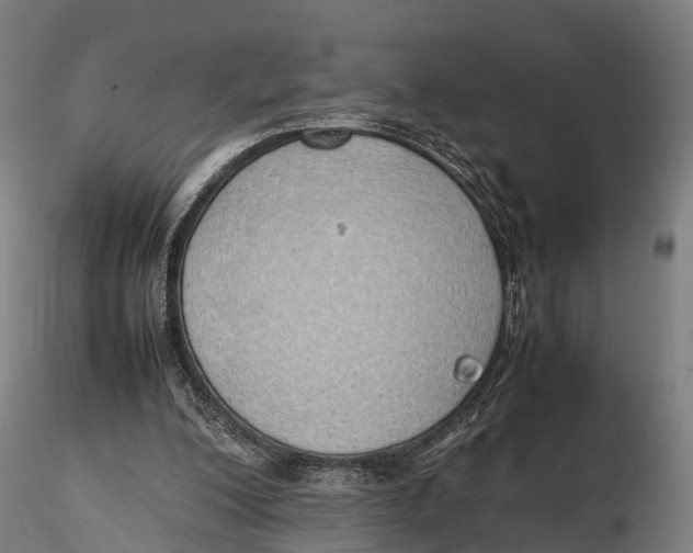 X0000115620200200912011622