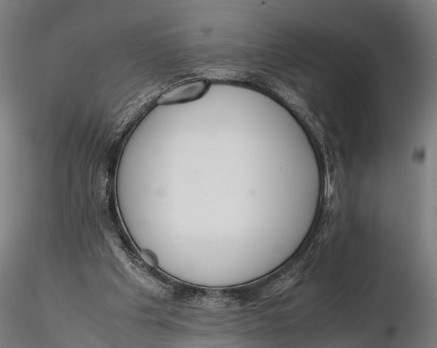 X0000115620201200912011622