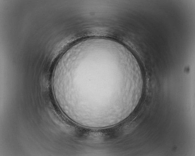 X0000115620203200912011622