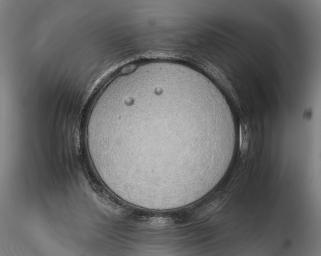 X0000115620204200912011622