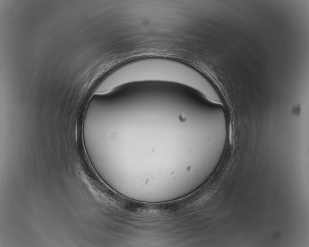 X0000115620205200912011622