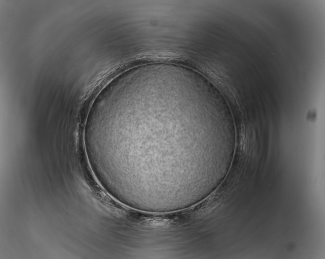 X0000115620206200912011622