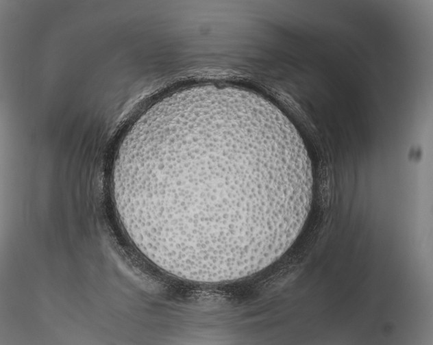 X0000115620207200912011622