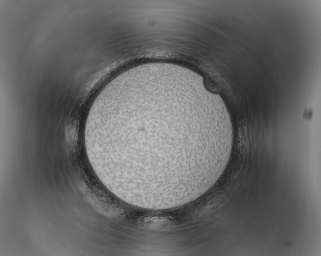 X0000115620208200912011622