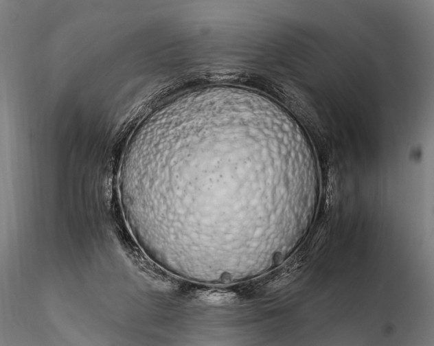 X0000115620210200912011622