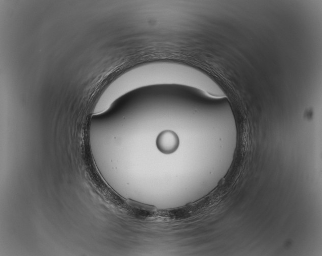 X0000115620211200912011622