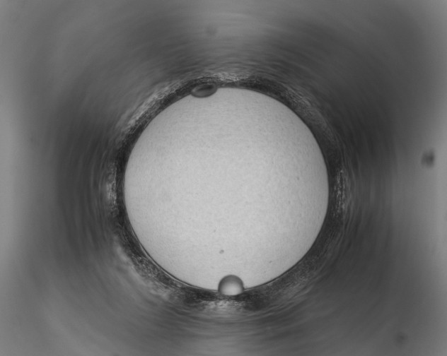 X0000115620212200912011622