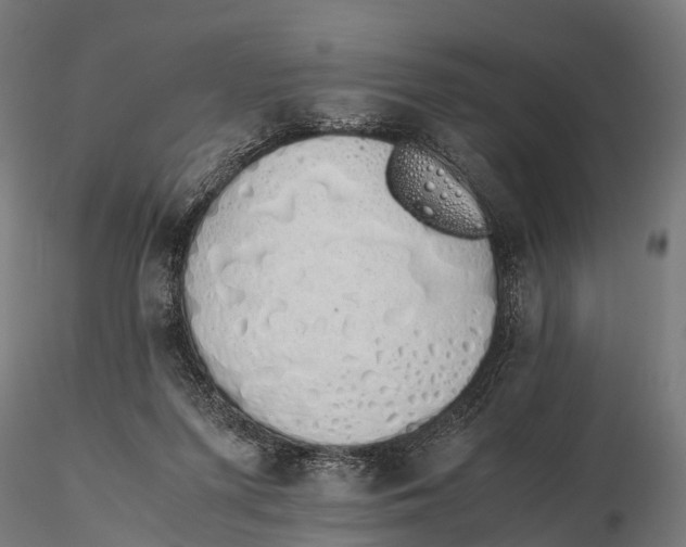 X0000115620215200912011622