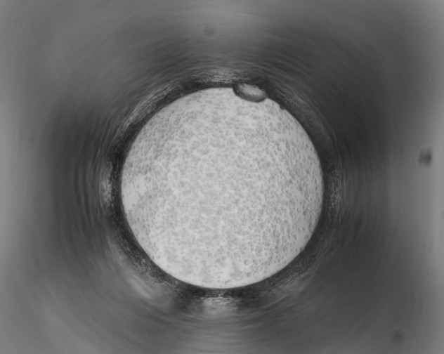 X0000115620216200912011622