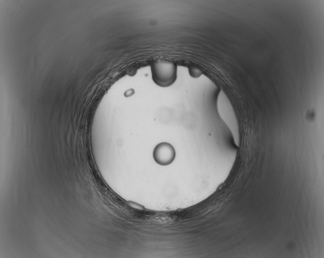 X0000115620217200912011622