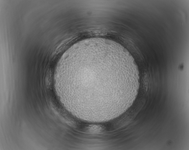 X0000115620218200912011622