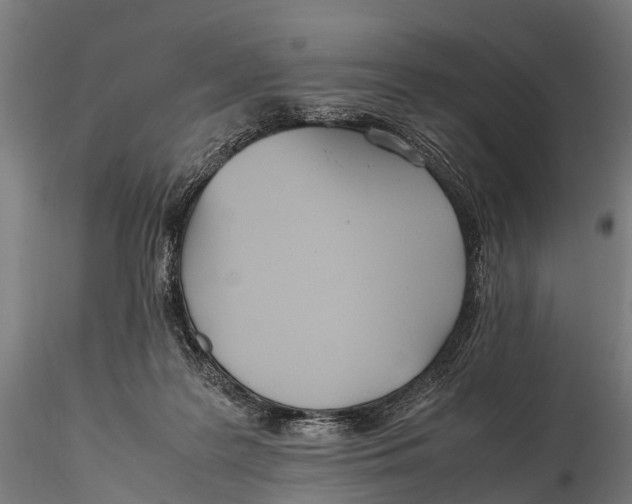 X0000115620219200912011622