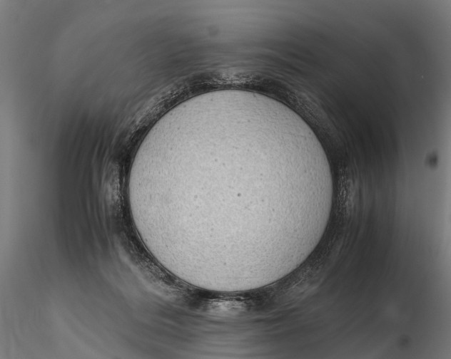 X0000115620220200912011622