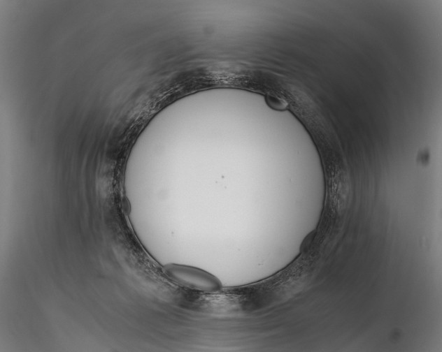 X0000115620221200912011622