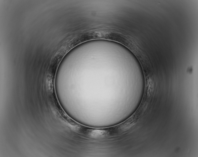 X0000115620222200912011622