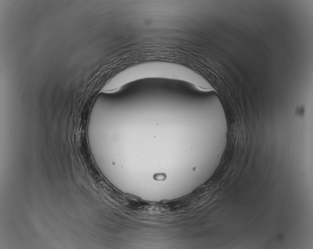 X0000115620223200912011622