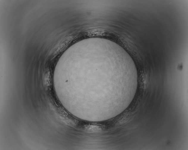 X0000115620224200912011622