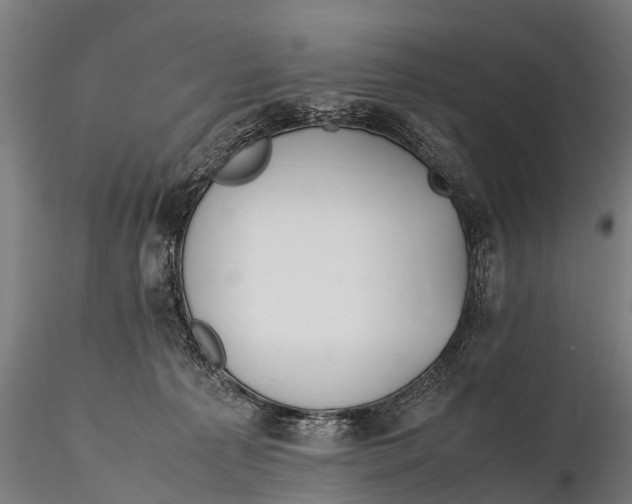 X0000115620225200912011622