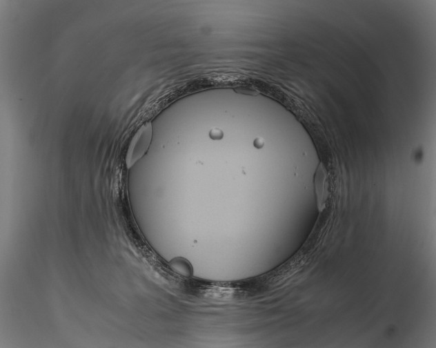 X0000115620227200912011622