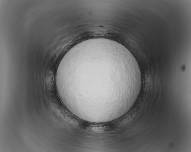 X0000115620228200912011622