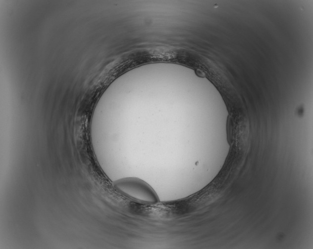 X0000115620229200912011622