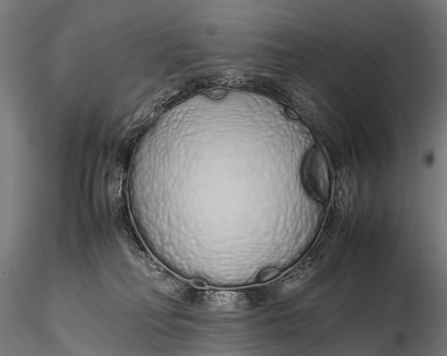 X0000115620230200912011622