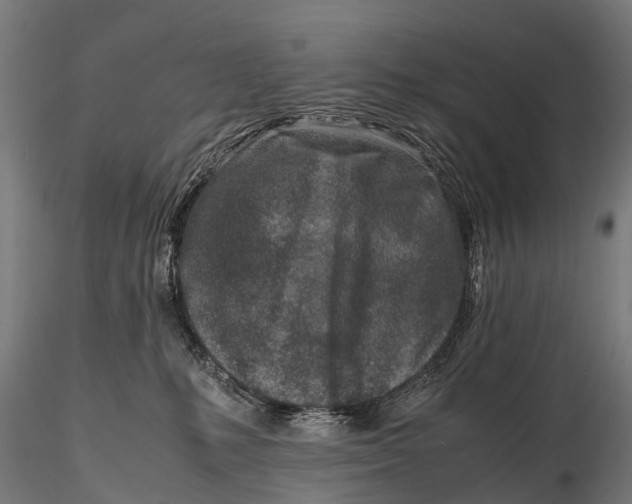 X0000115620231200912011622