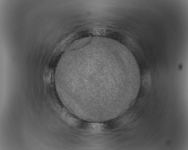 X0000115620233200912011622