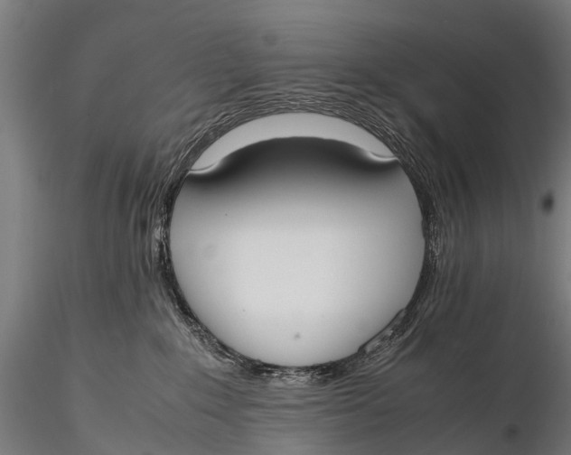 X0000115620235200912011622