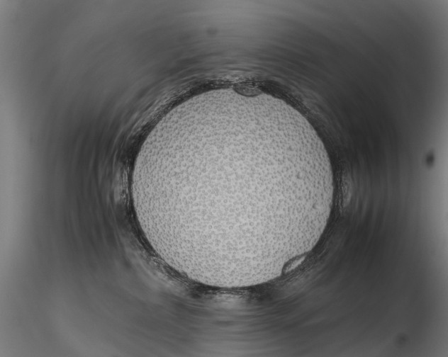 X0000115620236200912011622