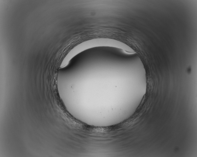 X0000115620237200912011622