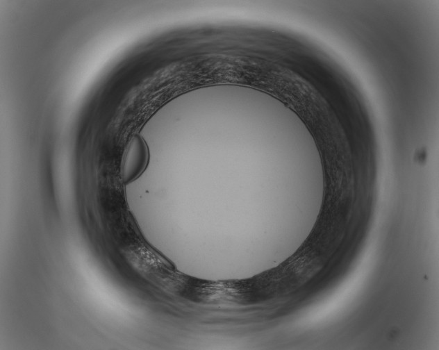 X0000115620239200912011622