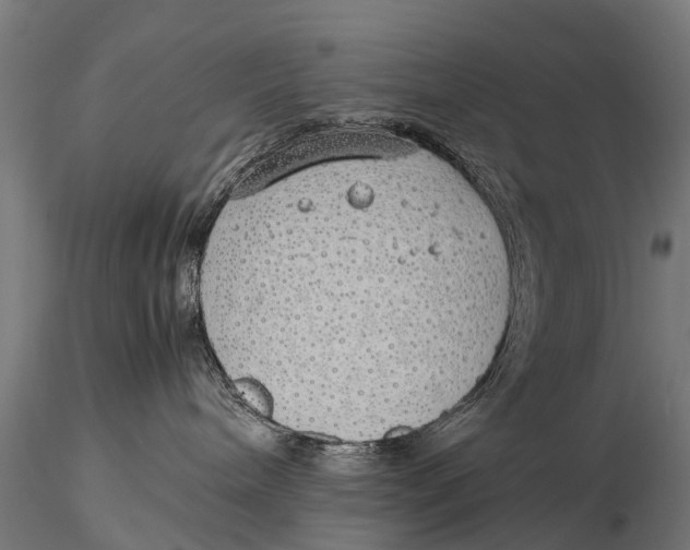 X0000115620240200912011622