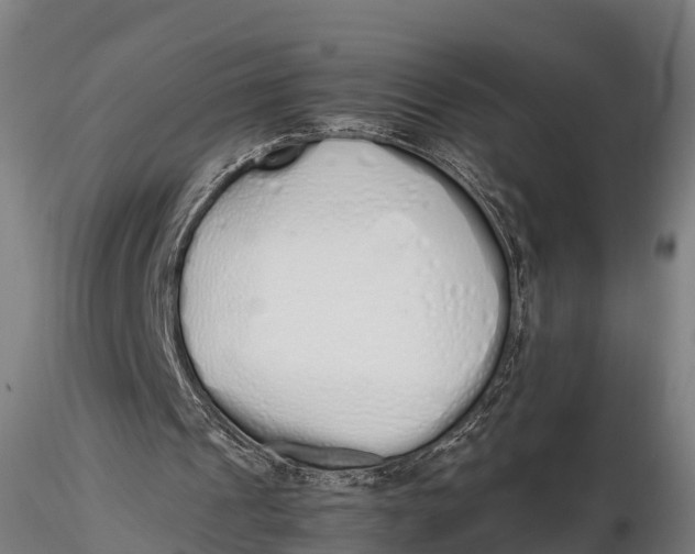 X0000115620241200912011621