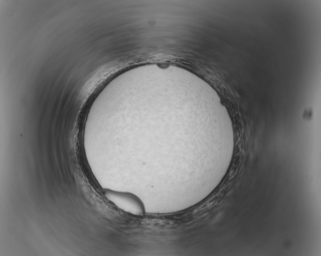 X0000115620242200912011621