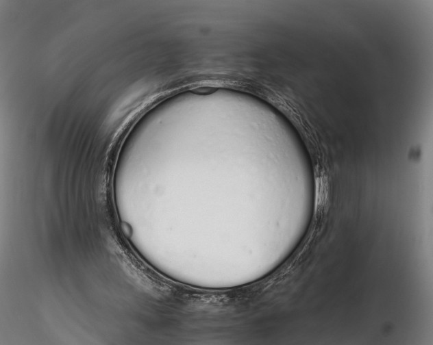 X0000115620243200912011621