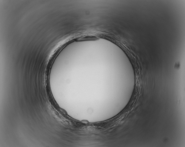 X0000115620244200912011621