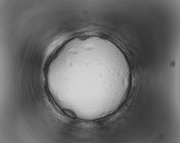 X0000115620245200912011621