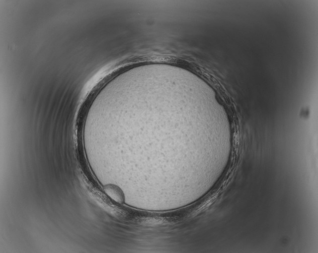 X0000115620246200912011621