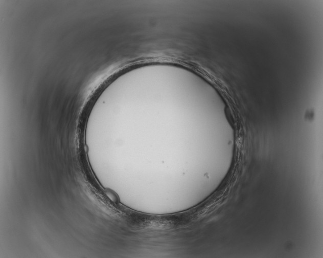 X0000115620248200912011621